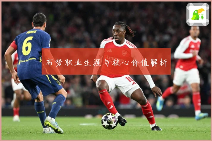 布努职业生涯与核心价值解析