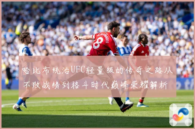 哈比布统治UFC轻量级的传奇之路从不败战绩到格斗时代巅峰荣耀解析
