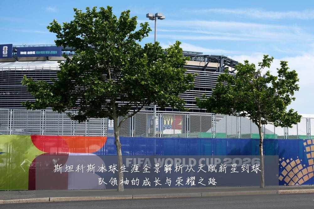 斯坦科斯冰球生涯全景解析从天赋新星到球队领袖的成长与荣耀之路